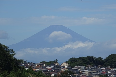 DSC03889_t