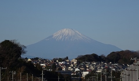 t_DSC01094