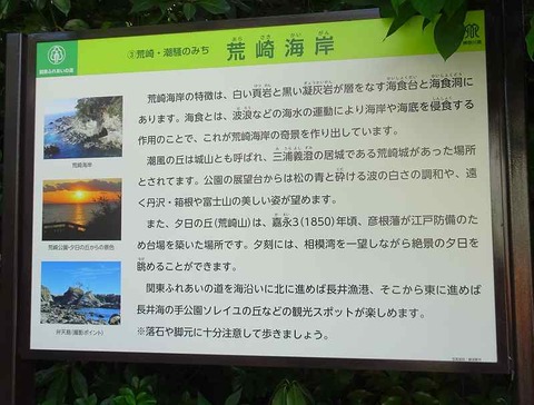 DSC09524_t