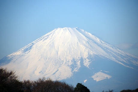 3b55b109.jpg