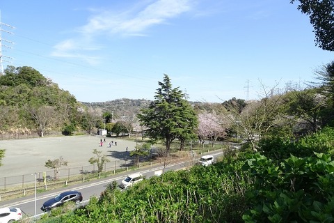 DSC09777