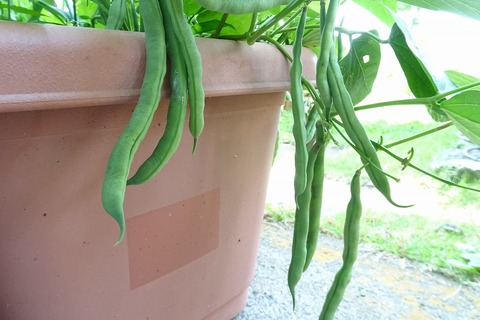 DSC04917