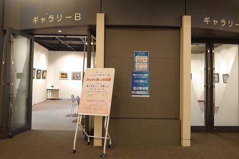 DSC_4396 (2)