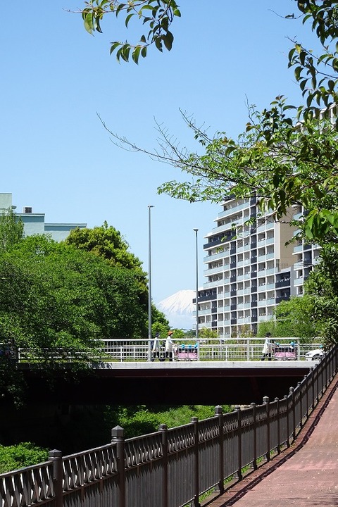 s-DSC08202