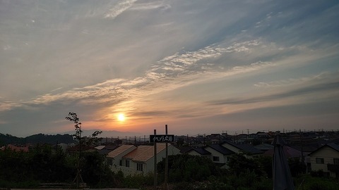 DSC_2891
