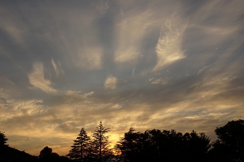 DSC04331