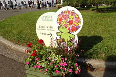 4924c4a1.jpg