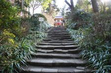 508b5685.jpg