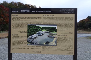 50f3f79d.jpg