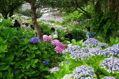 DSC01767