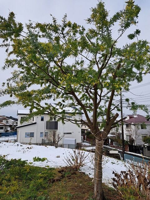 s-早期回復を祈ってs