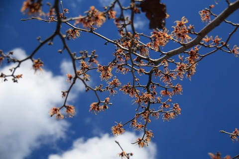 sIMG_8934