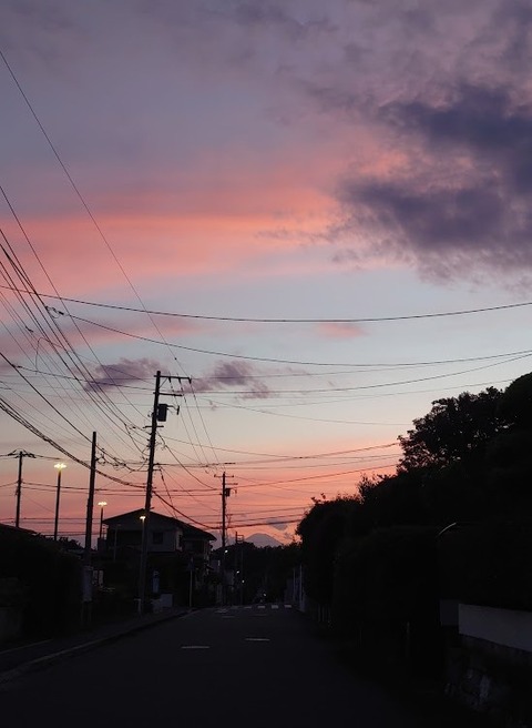 DSC_0071
