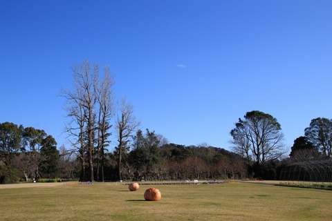 aIMG_9052