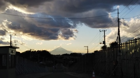 DSC_0484