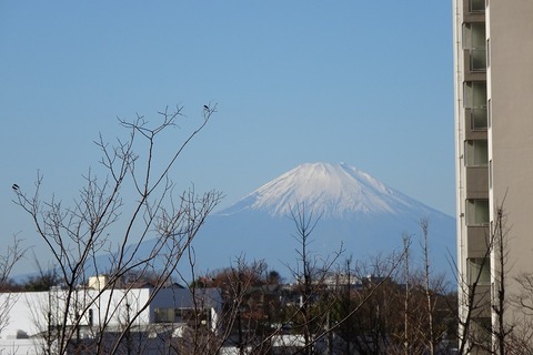 DSC00433