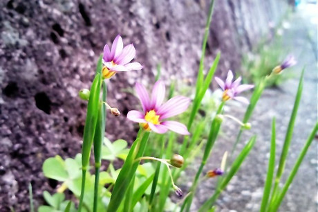 5b03ef79.jpg