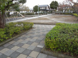 5b953cf2.jpg