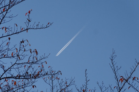 5c775374.jpg