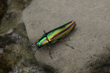 5ca8608b.jpg