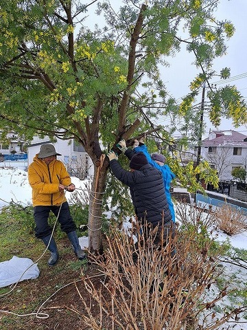 s-s-緊急処置s_100225