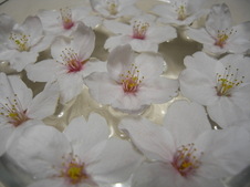 5e638d09.jpg