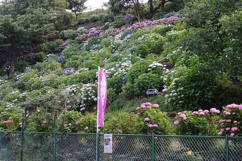 s-DSC09692