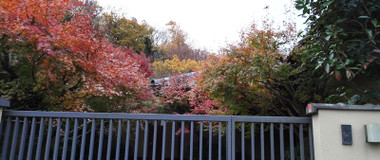 5f6ef969.jpg