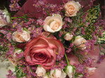 6076ab60.jpg
