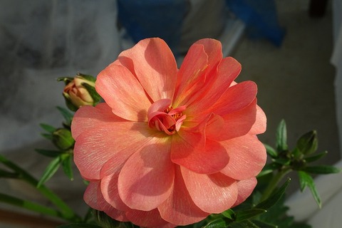 DSC05128