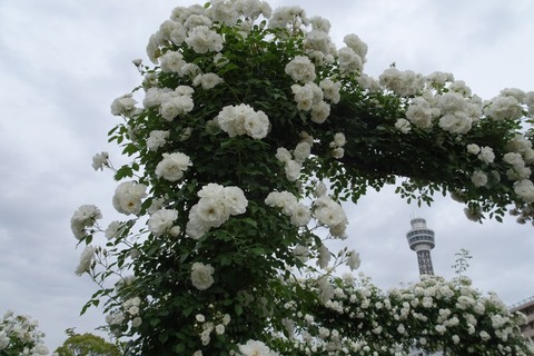 DSC00188