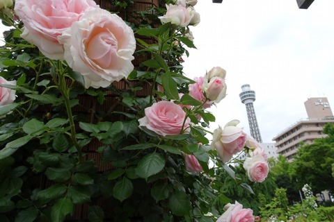 DSC00161