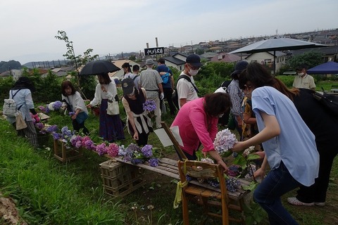 DSC01748