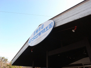 68929e54.jpg