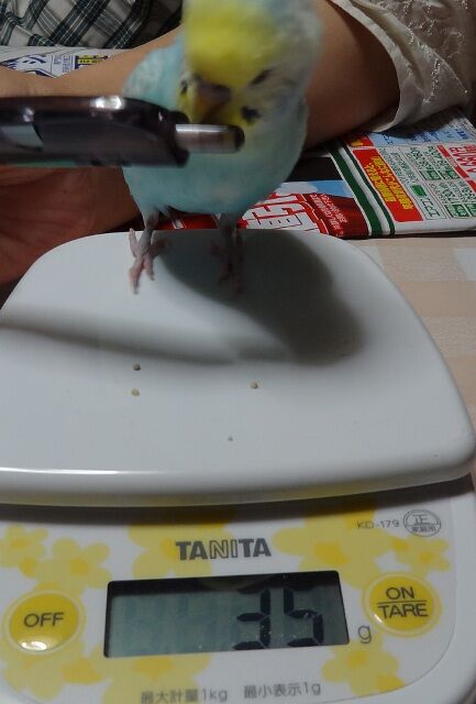 Dsc00067ts Dsc00067ts