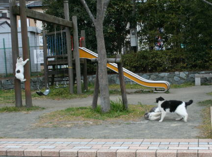 11img_0261 11img_0261