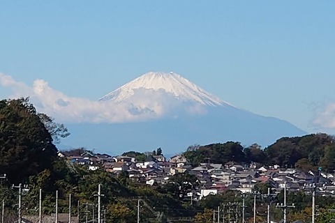 DSC_0962 (2)