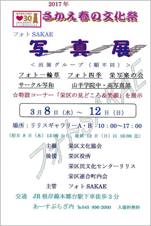 6cbb37a8.jpg