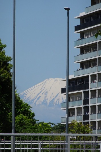 s-DSC08200