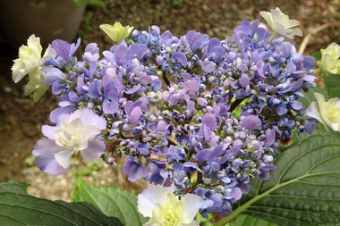 6d617f23.jpg