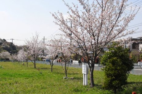 7050cd48.jpg