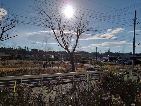 DSC_2507 - コピー