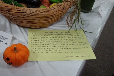 aDSC05197