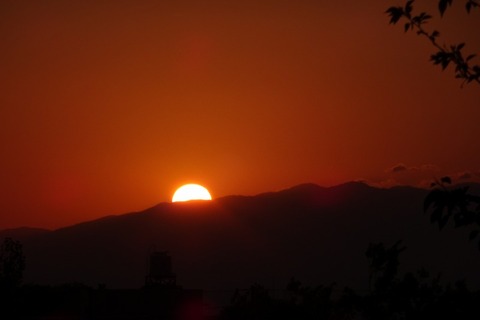 t_DSC01377