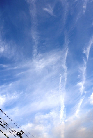 76202f2b.jpg