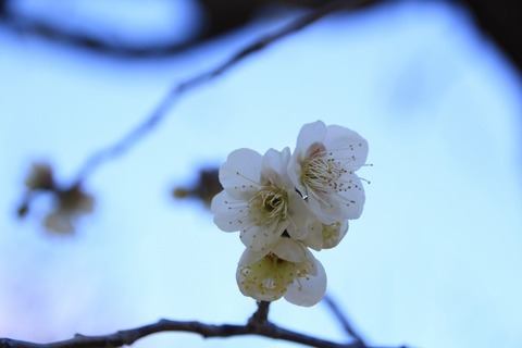 aIMG_9014