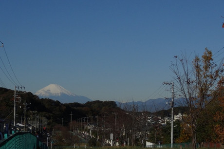 7a25722b.jpg