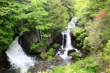 7b58f887.jpg