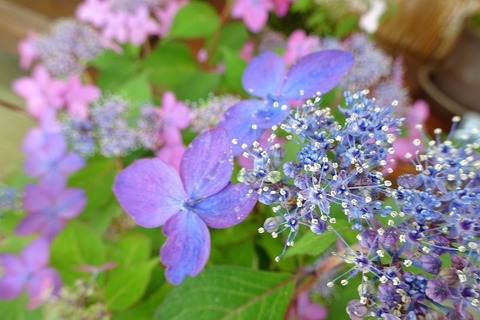 DSC00380