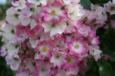7e72026e.jpg